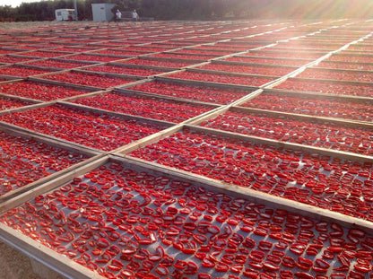 'Farmer's Style' Sun Dried Tomatoes with Italian Seasoning (19.4 oz | 550 g)